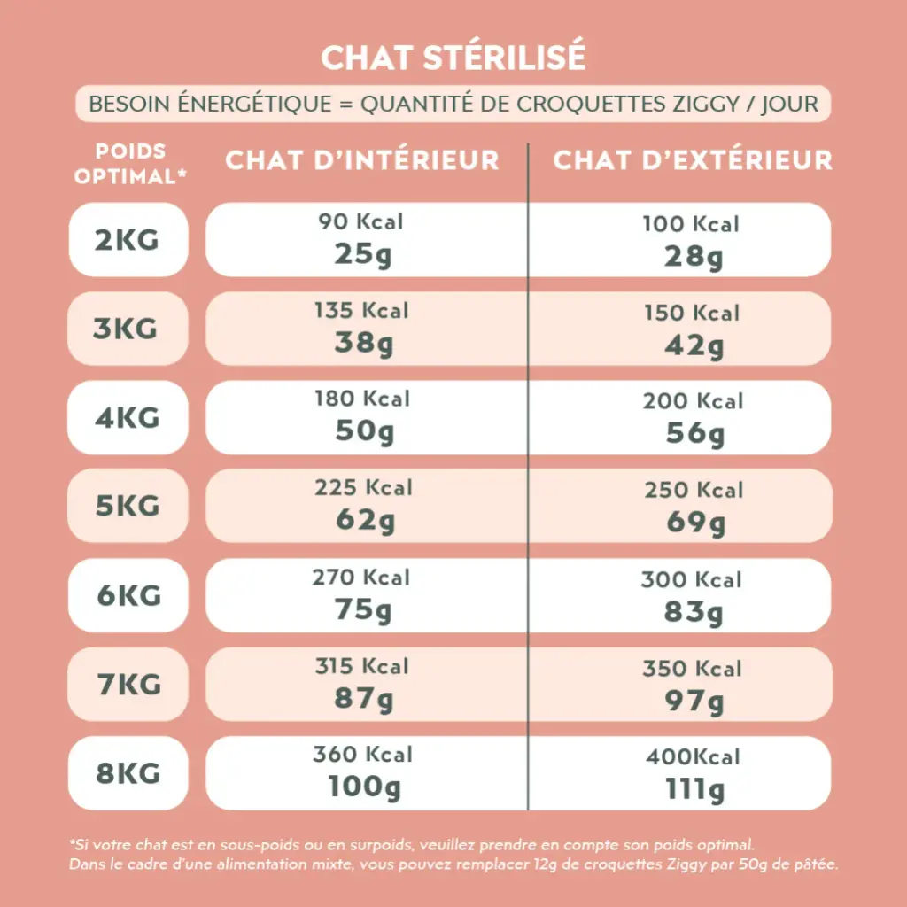 croquetteschat-CSTPTSC1_6.webp