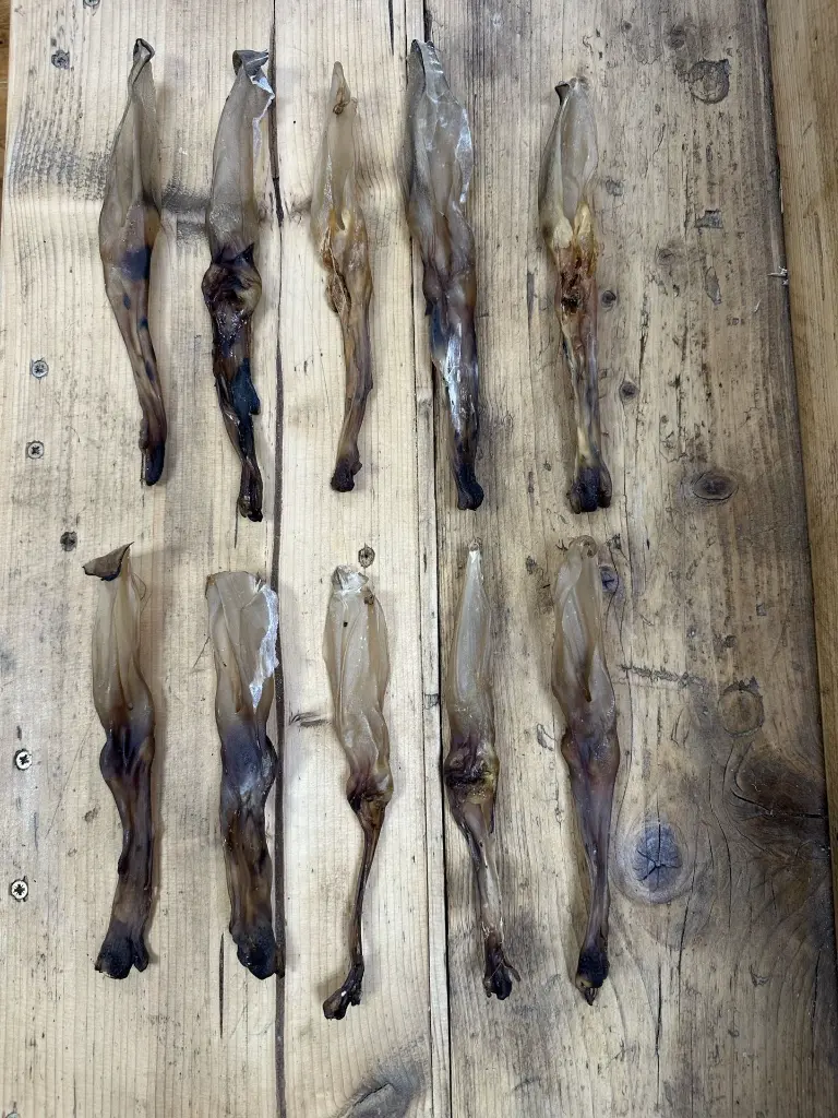 Oreille de lapin séchée lot de 10.webp