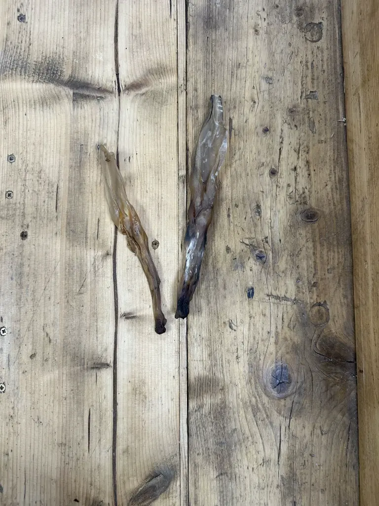 Oreille de lapin séchée  lot de 2.webp