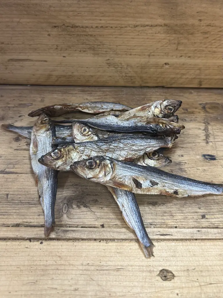 POISSON HARENG ENTIER 1.webp