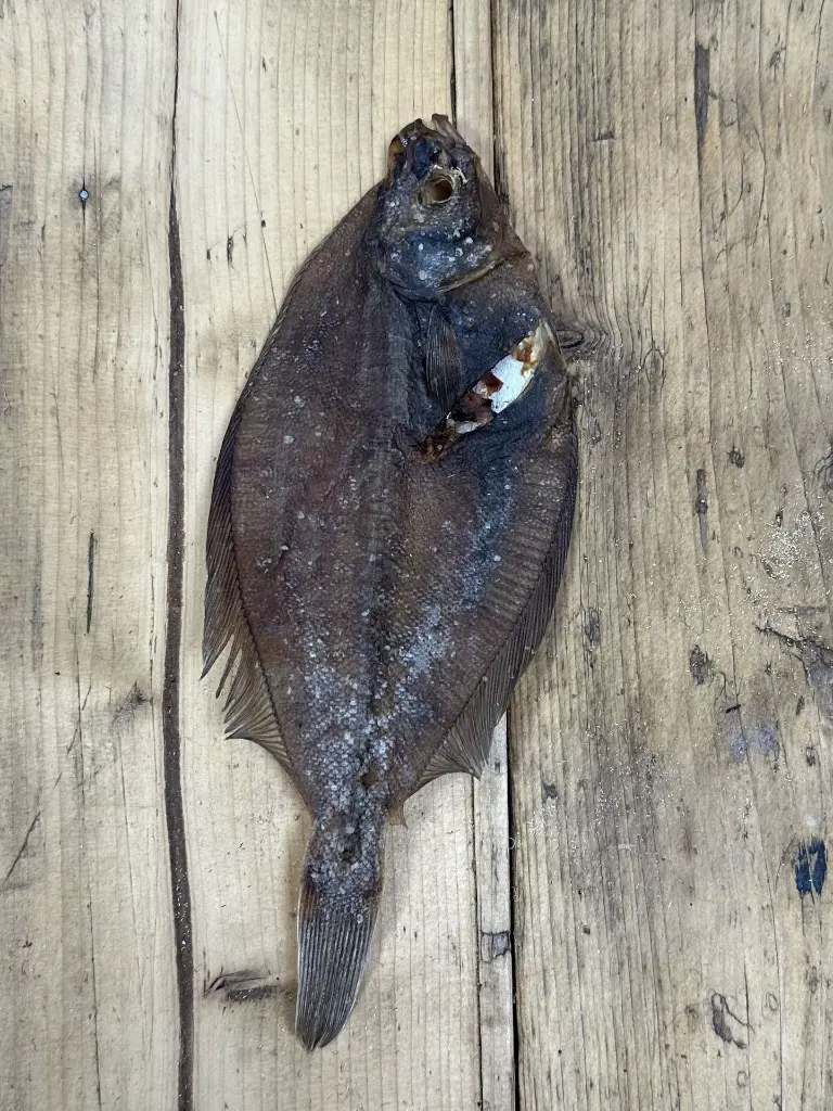 plie sechee pce.webp