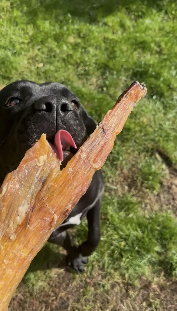 tendons de boeuf.webp