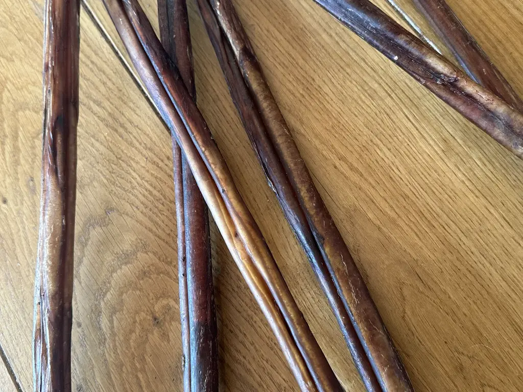 BOEUF PENIS SECHE ZOOM 1.webp