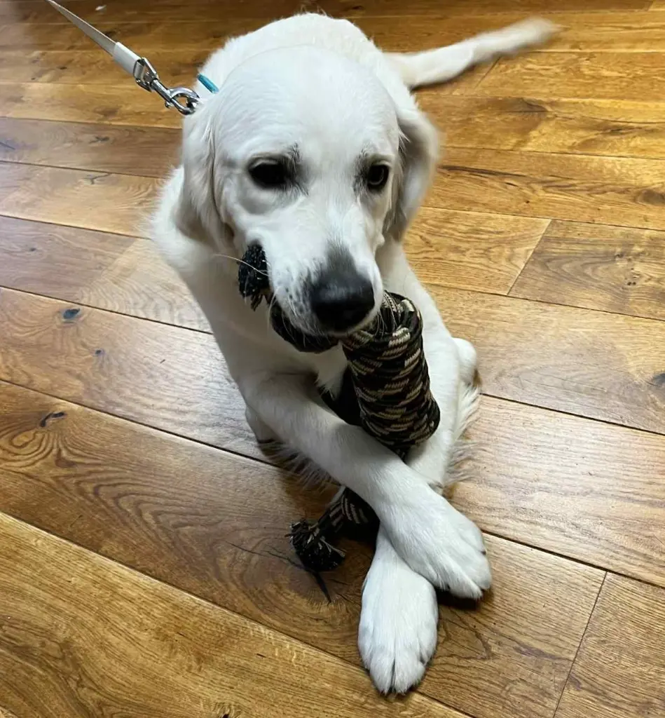 att._0K_wBsq_bDFTy0Oaj1ZP9S7oz-xfq1NkYrFzTyGTLA (1).webp