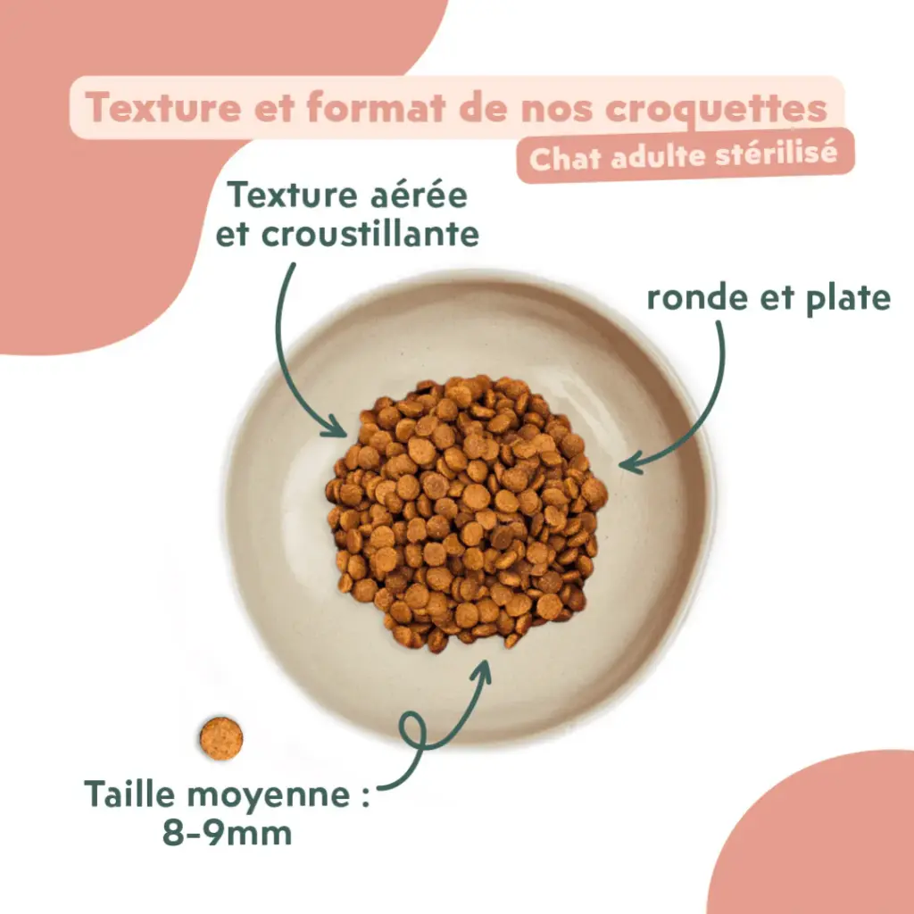 croquetteschat-CSTPTSC1_5.webp