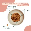 croquetteschat-CSTPTSC1_5.webp