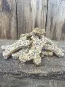 PETIT OS LEGUMES CHICOREE.webp