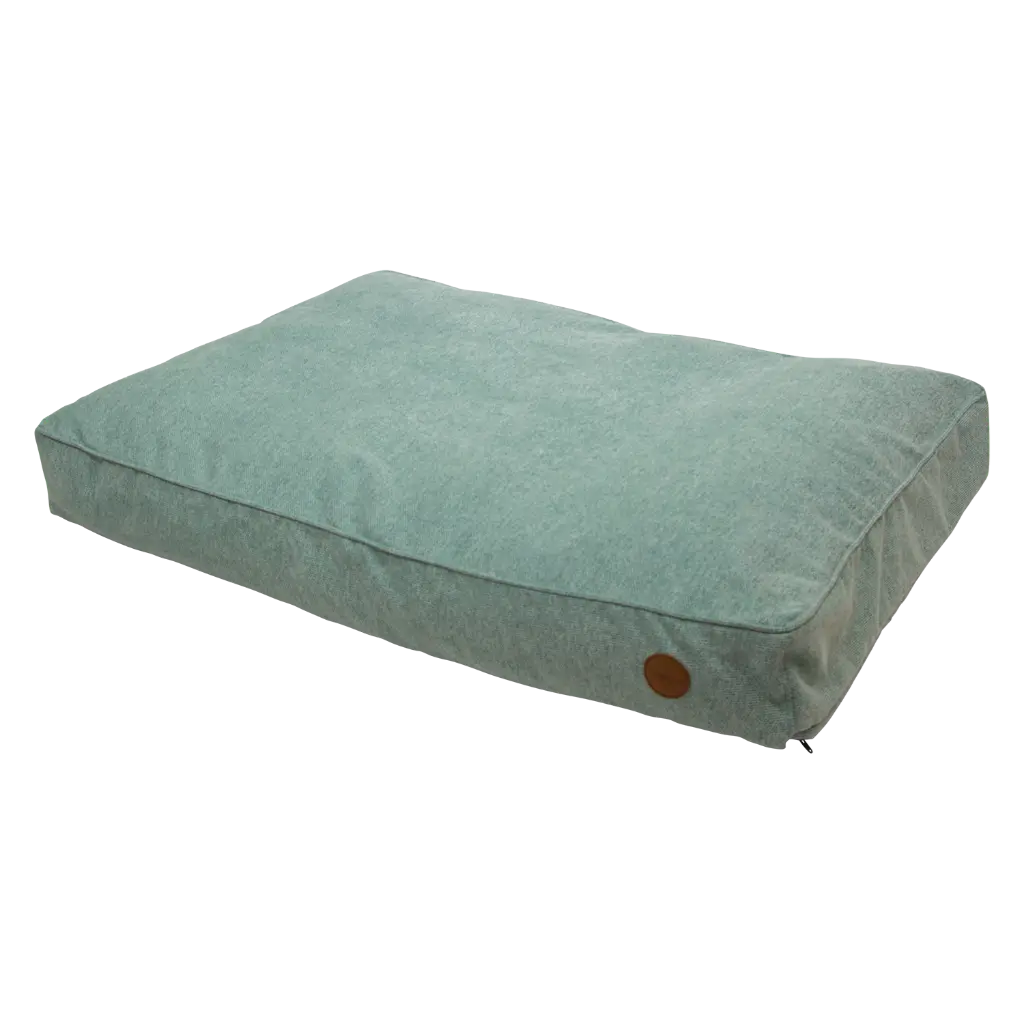 LI DE CHIEN MENTHE 100-70 1.webp