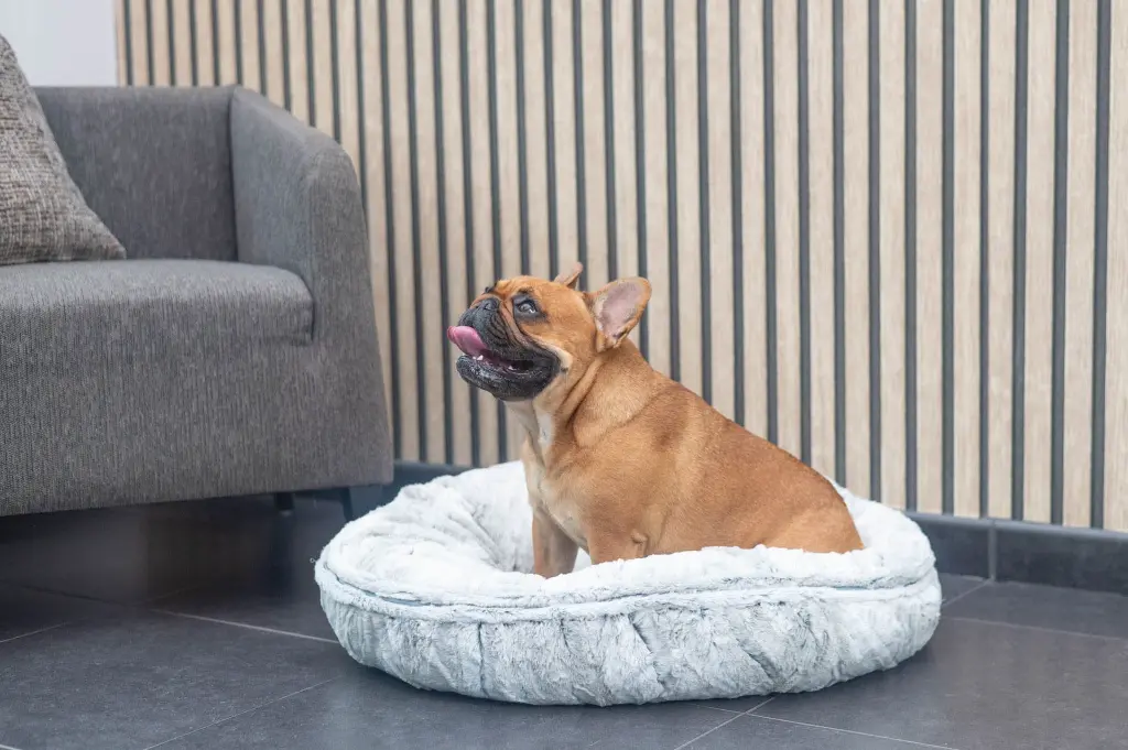 PANIER CHAT ROND TIBET DONUTS GD 1.webp