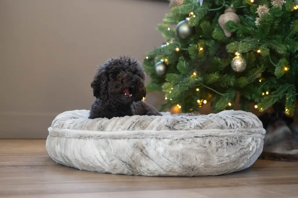 PANIER CHAT ROND TIBET DONUTS GD 3.webp