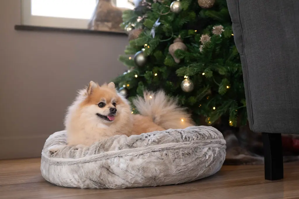 PANIER CHAT ROND TIBET DONUTS GD 2.webp