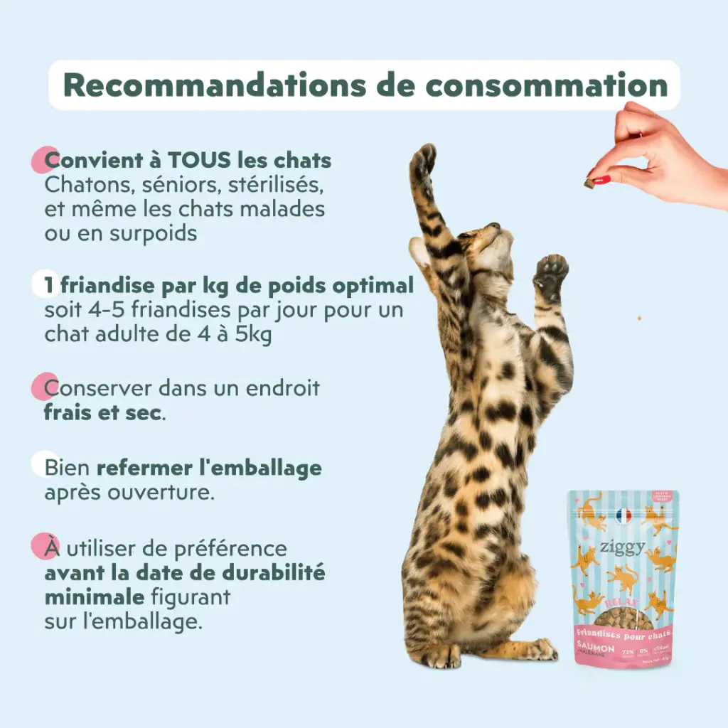 friandise chat relax saumoin et valeriane 5.webp
