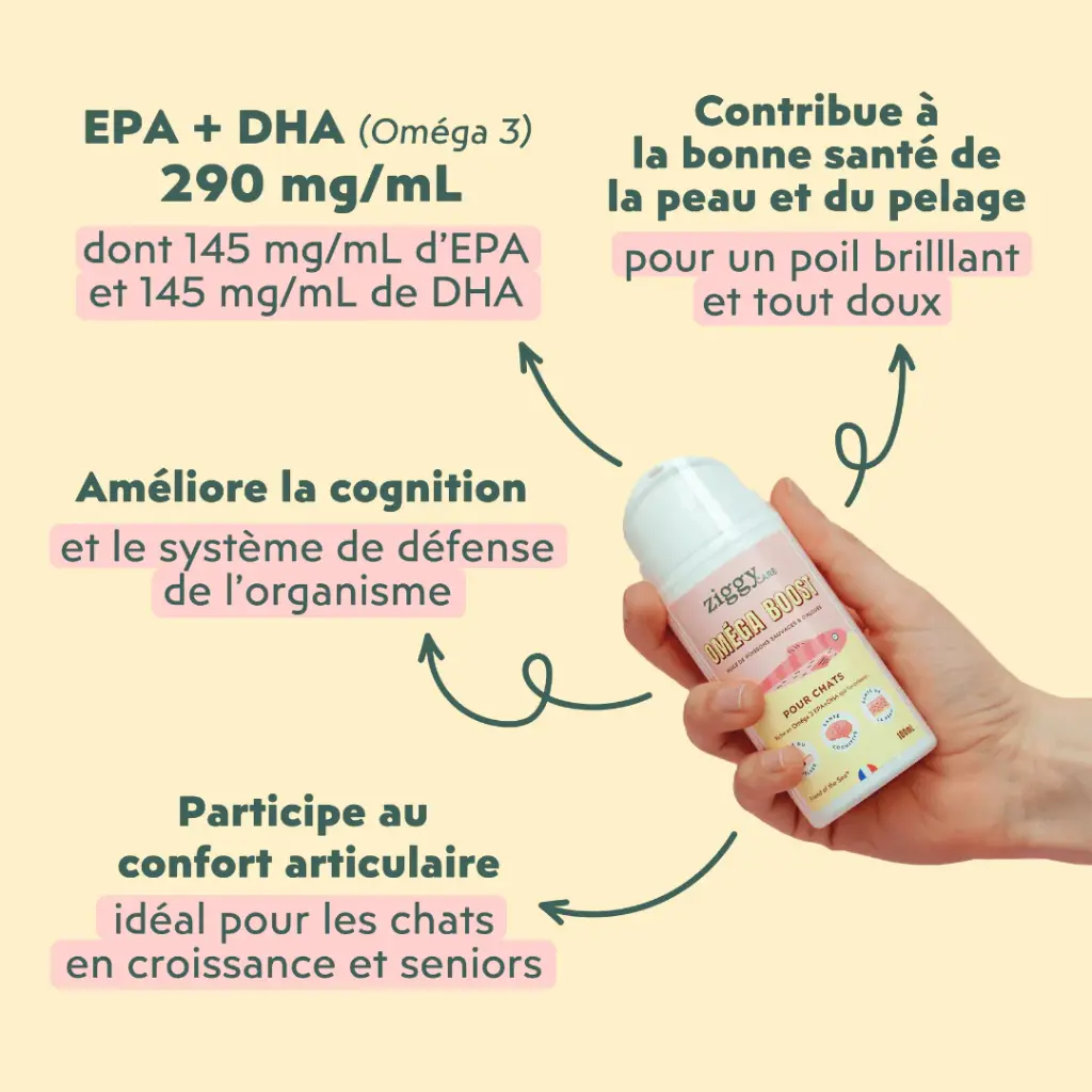 HUILE OMEGA BOOST CHAT2.webp