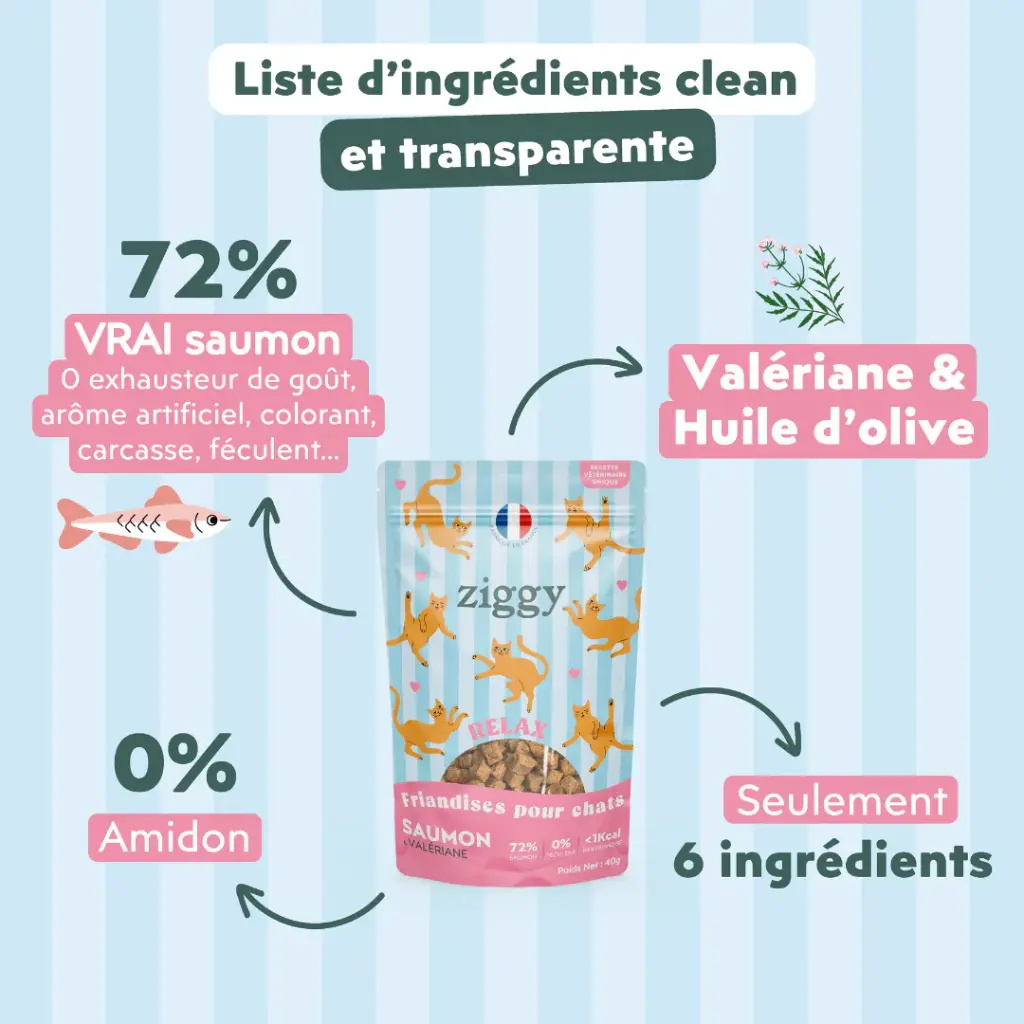 friandise chat relax saumoin et valeriane 4.webp