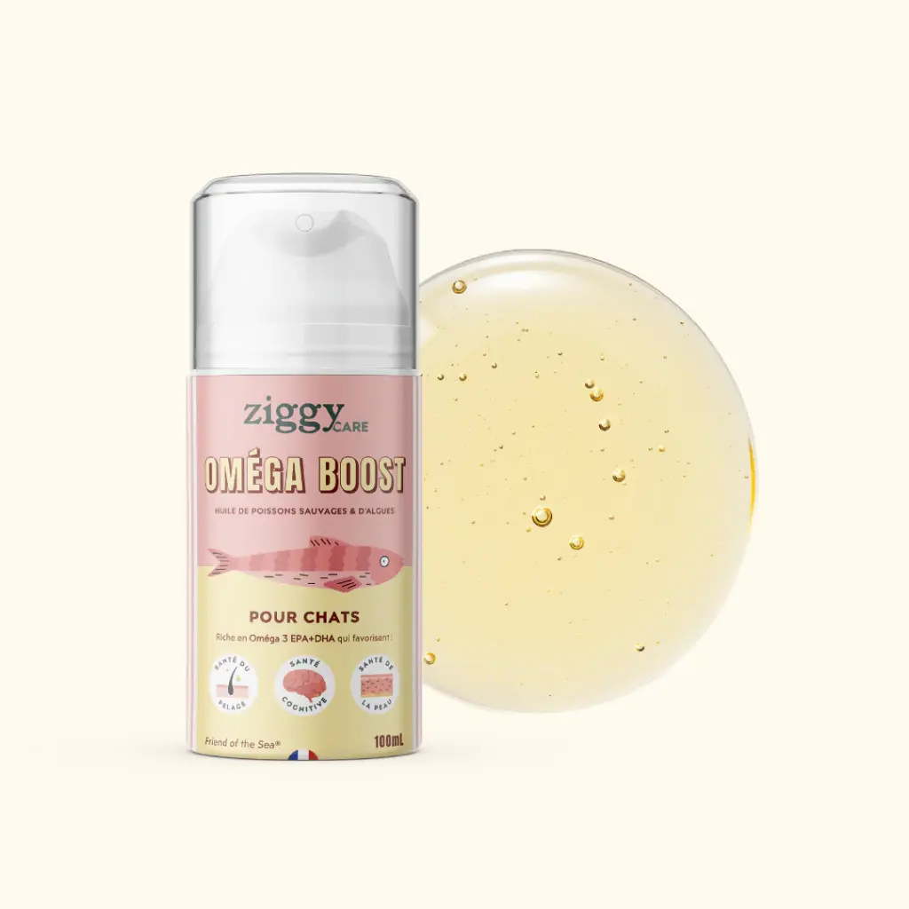 HUILE OMEGA BOOST CHAT1.webp