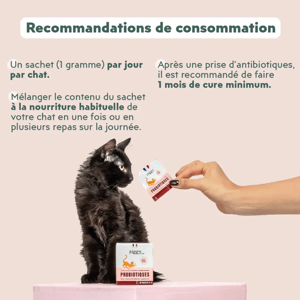 PROBIOTIQUE CHAT3.webp