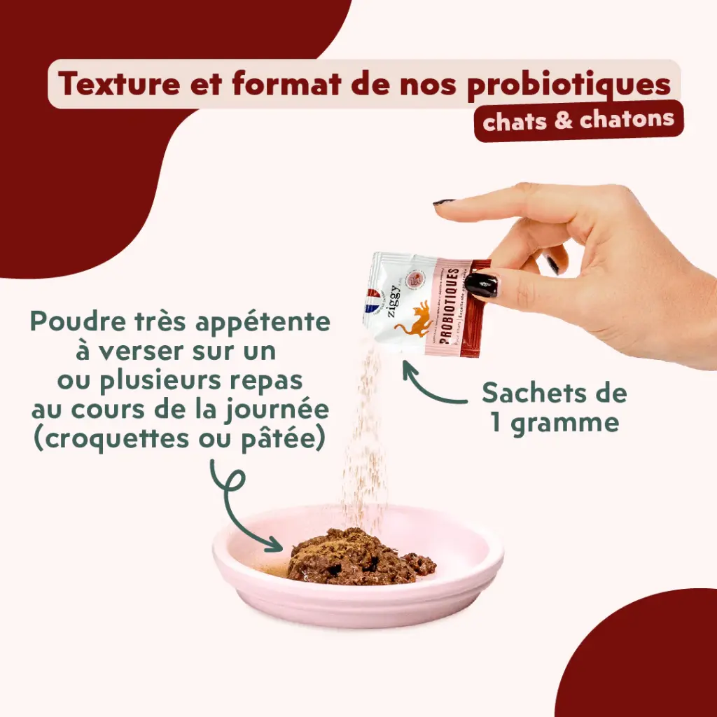 PROBIOTIQUE CHAT4.webp