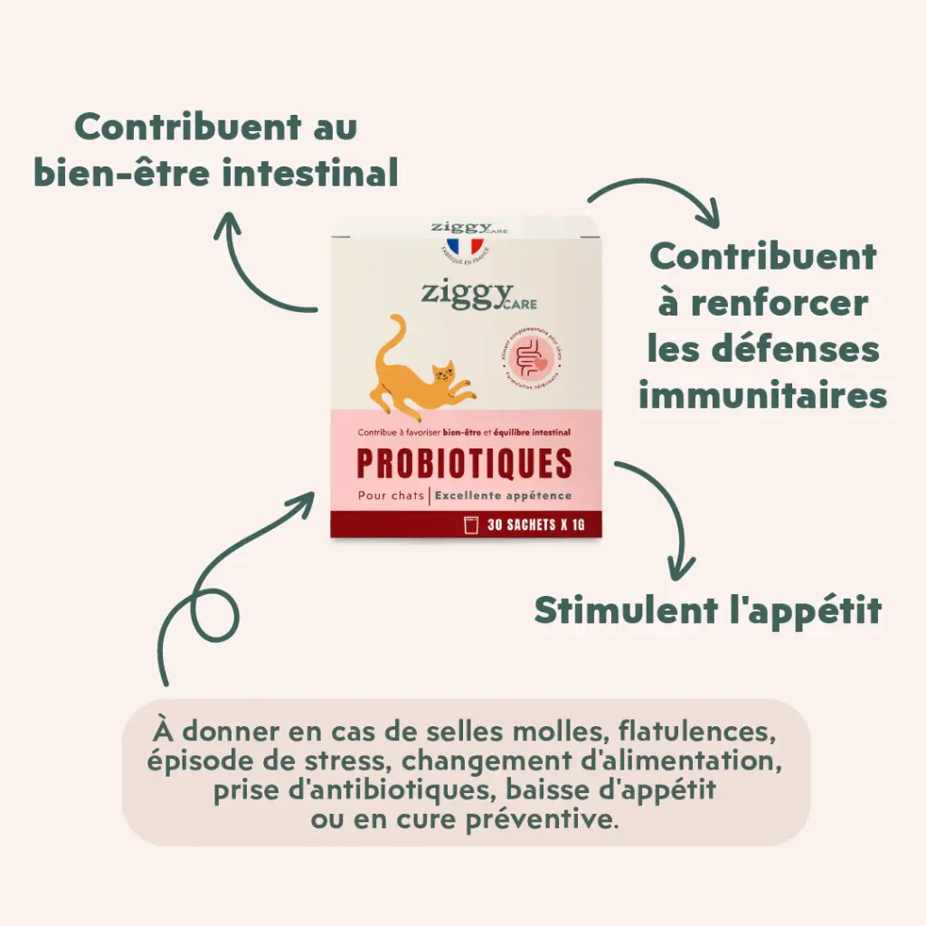 PROBIOTIQUE CHAT2.webp
