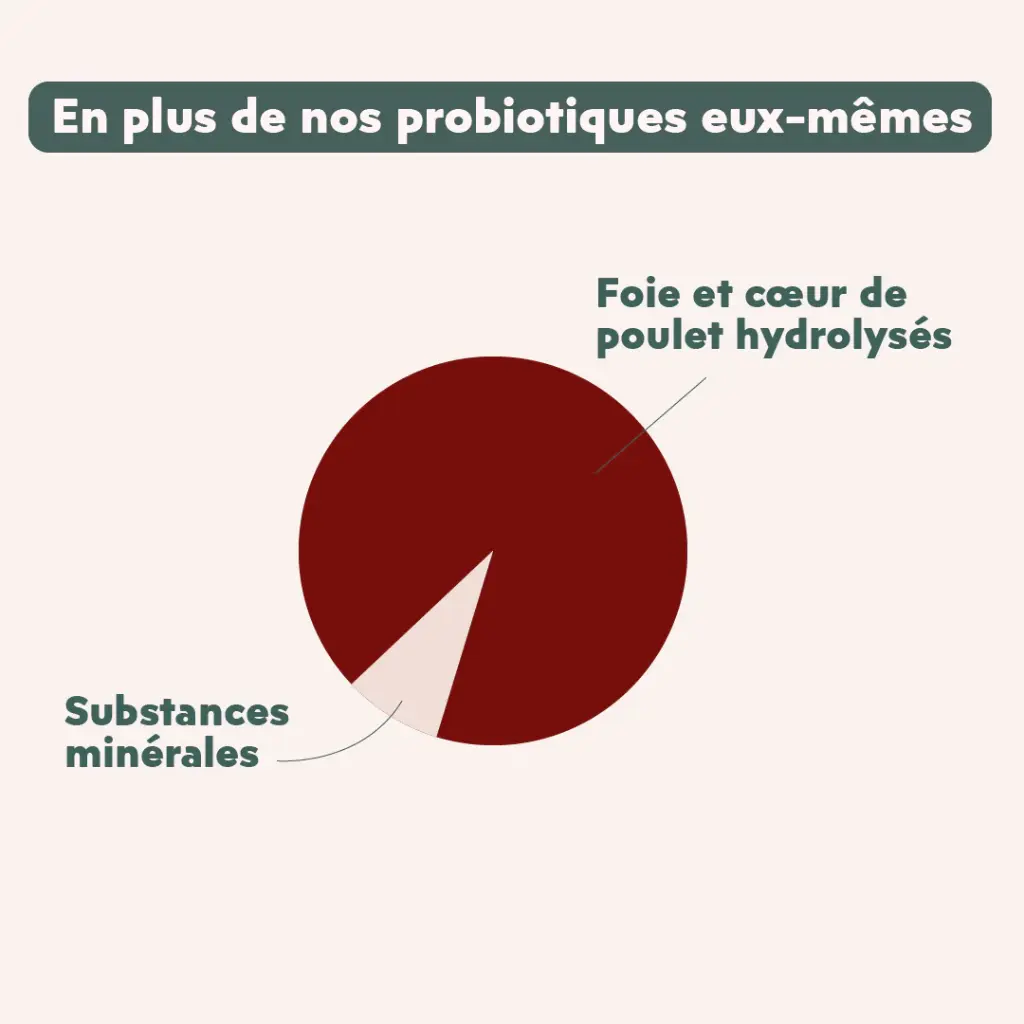 PROBIOTIQUE CHAT5.webp