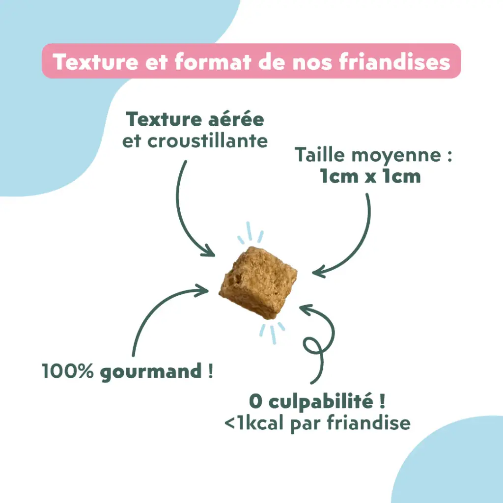 friandise chat relax saumoin et valeriane 3.webp
