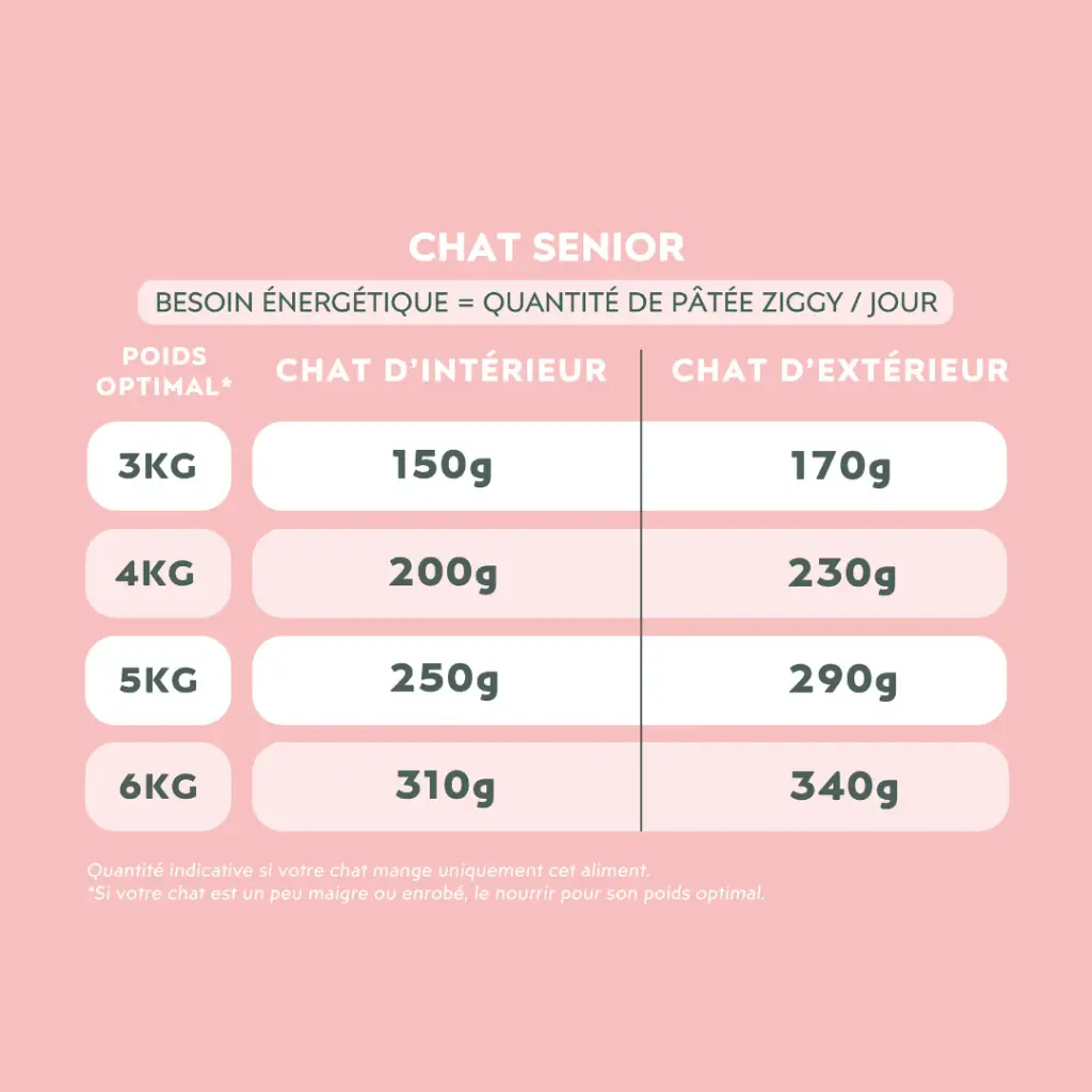 p boeuf chat senior 4.webp