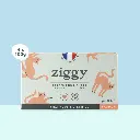 p chat ster saumon 6.webp