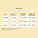 p chaton bieuf 5.webp