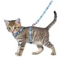harnais laisse chaton 3.webp