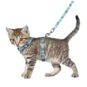 harnais laisse chaton 3.webp
