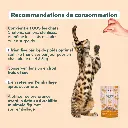 friandise chat happy saumon et coco 5.webp