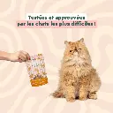 friandise chat happy saumon et coco 6.webp