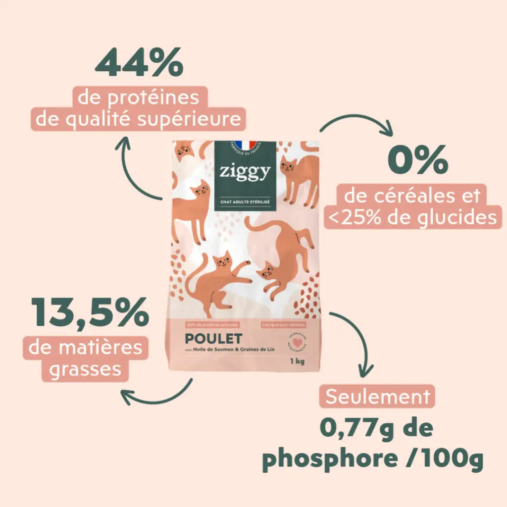 croquetteschat-CSTPTSC1_3.webp