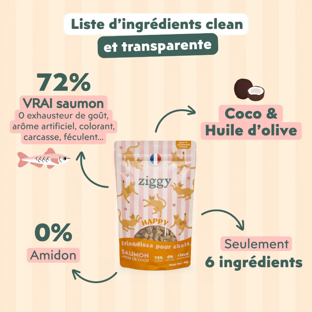 friandise chat happy saumon et coco 4.webp