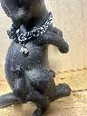 IMG_8013.webp