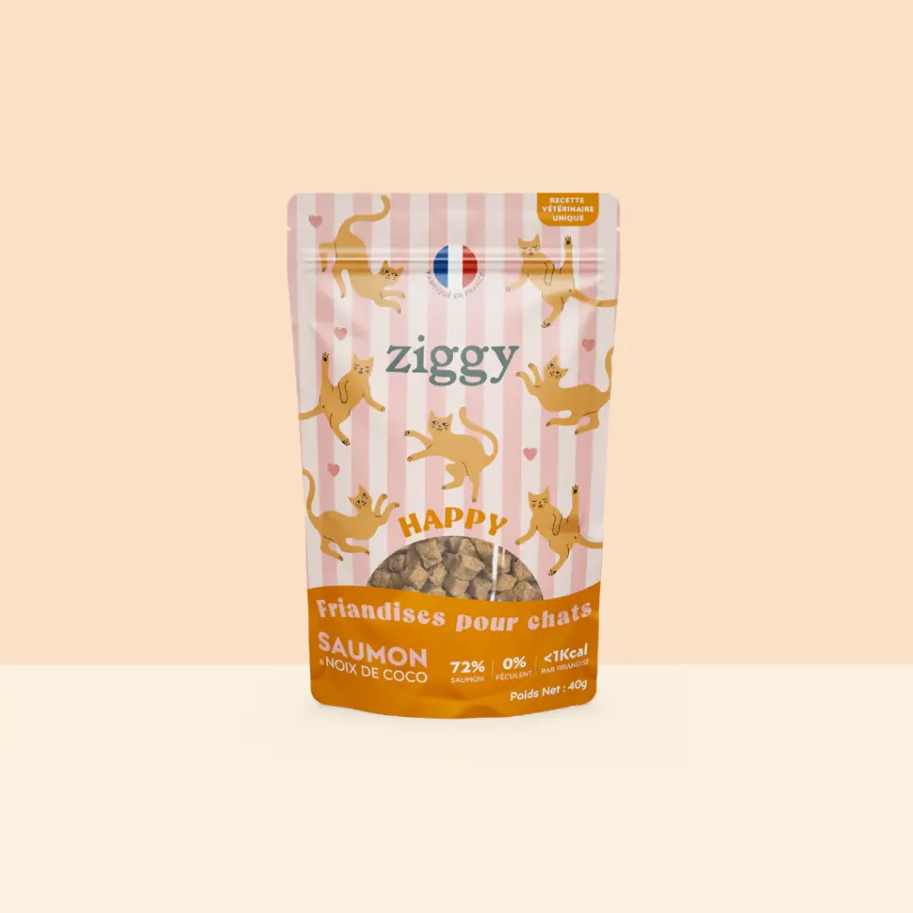 friandise chat happy saumon et coco 1.webp