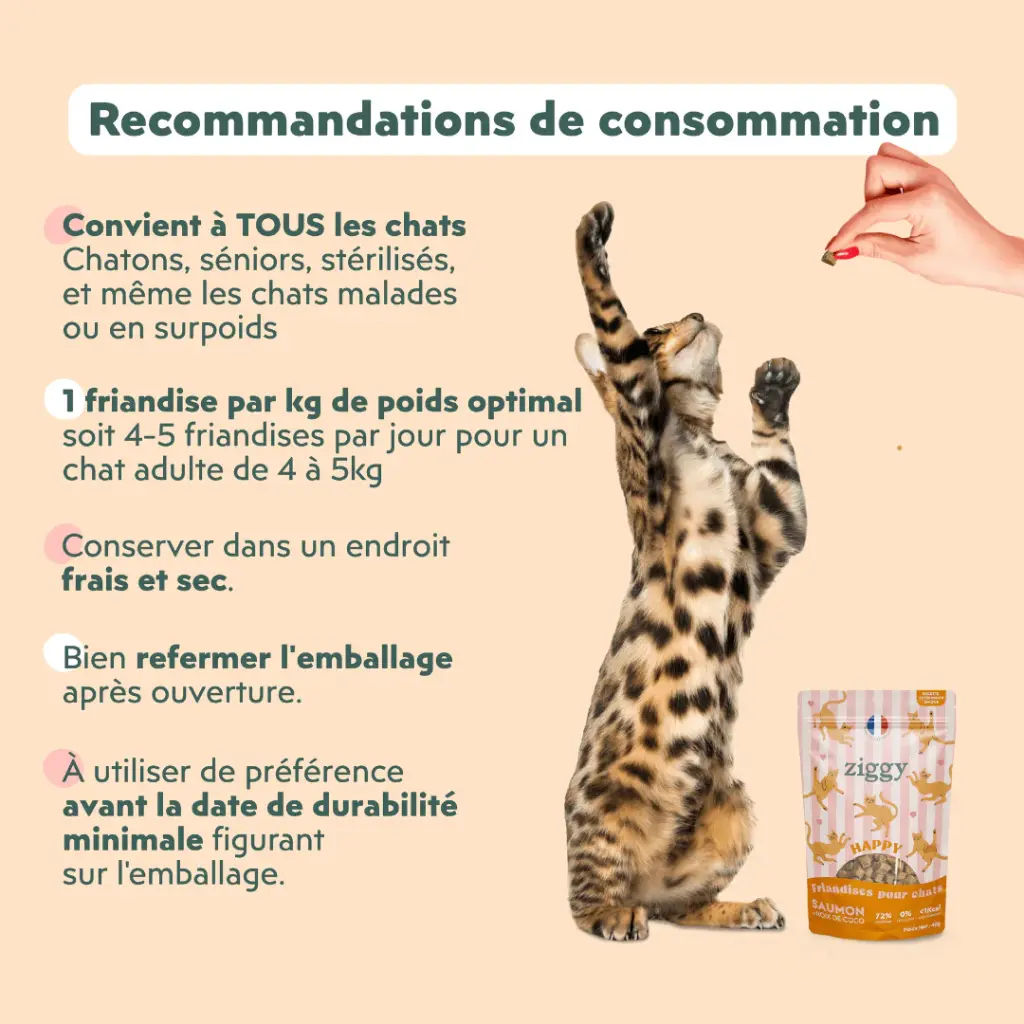 friandise chat happy saumon et coco 5.webp