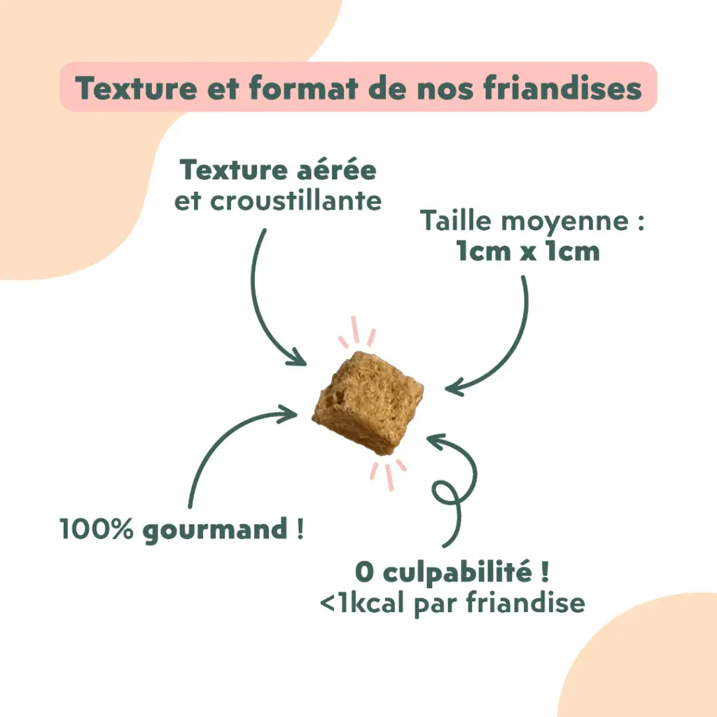 friandise chat happy saumon et coco 3.webp