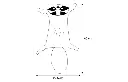 PELUCHE RATON LAVEUR.webp