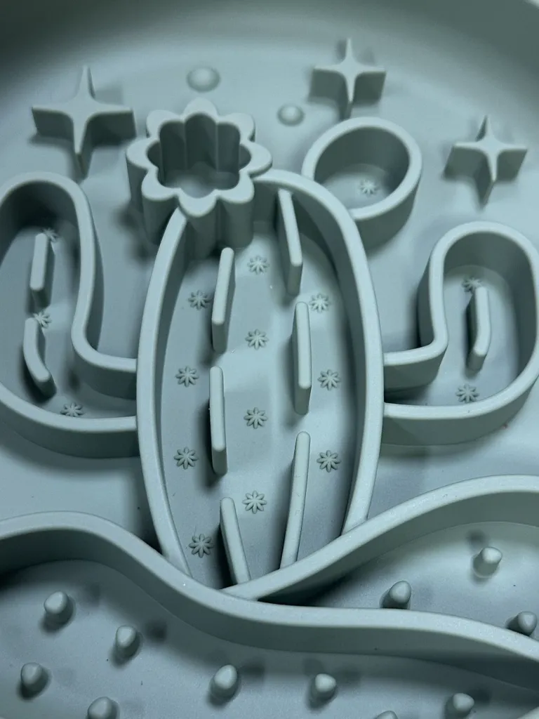 IMG_8702 - Copie.webp