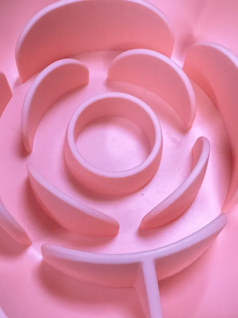 IMG_8690 - Copie.webp