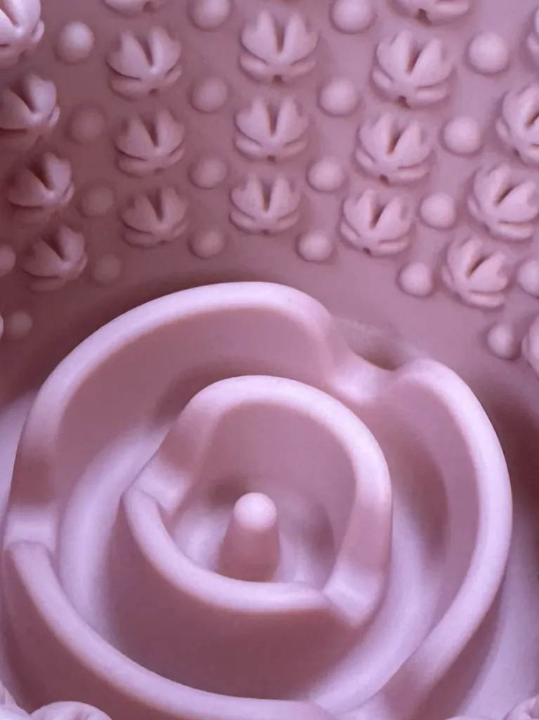 IMG_8706 - Copie.webp