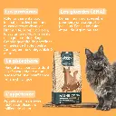 croquetteschat-CMCPTSC2_4.webp