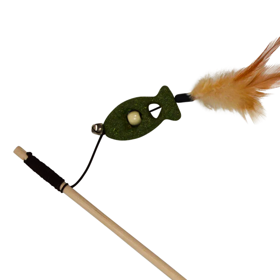 0010672_5415251076516 (1).webp