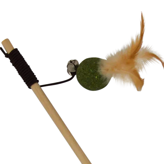 0010674_5415251076530 - Copie.webp