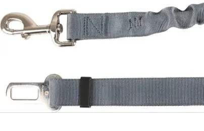 520219_E_01 (1).webp