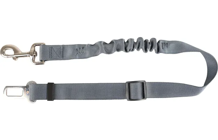 520219_E_01 (1).webp