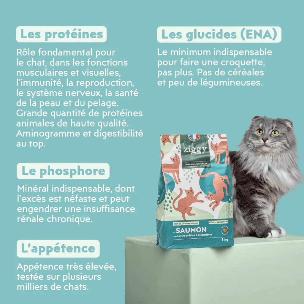 croquetteschat-CSTPNSC1_4.webp