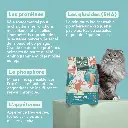 croquetteschat-CSTPNSC1_4.webp
