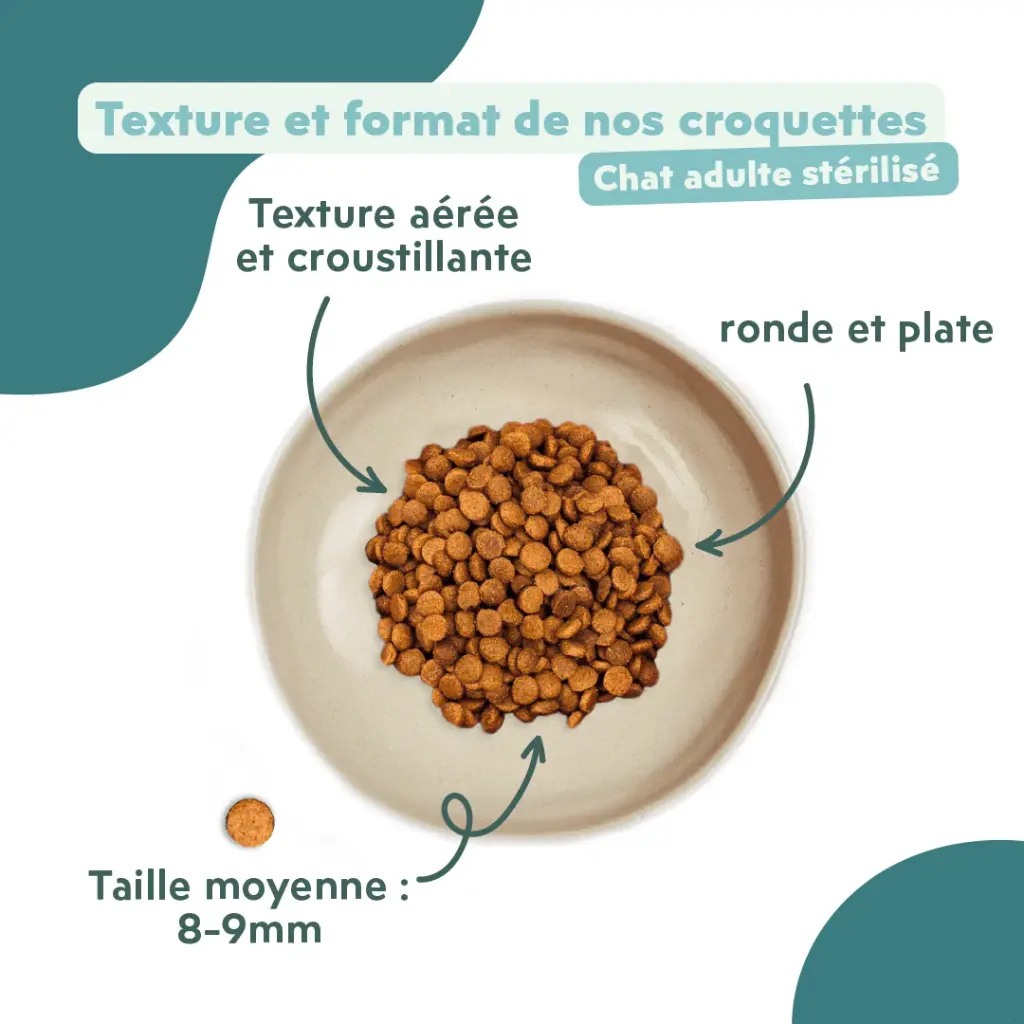 croquetteschat-CSTPNSC1_5.webp