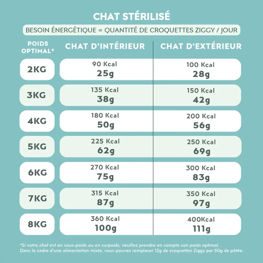 croquetteschat-CSTPNSC1_6.webp